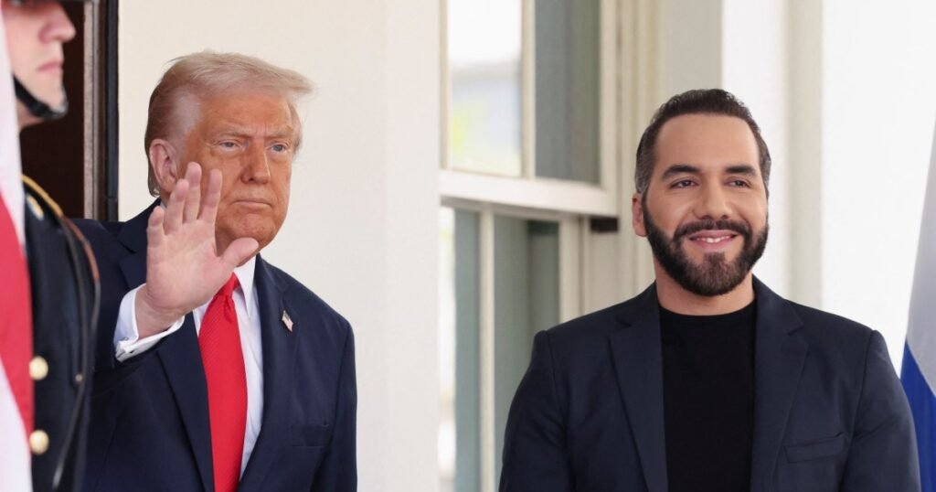 El Salvador arrests prominent human rights lawyer who defends deportees | Human Rights News