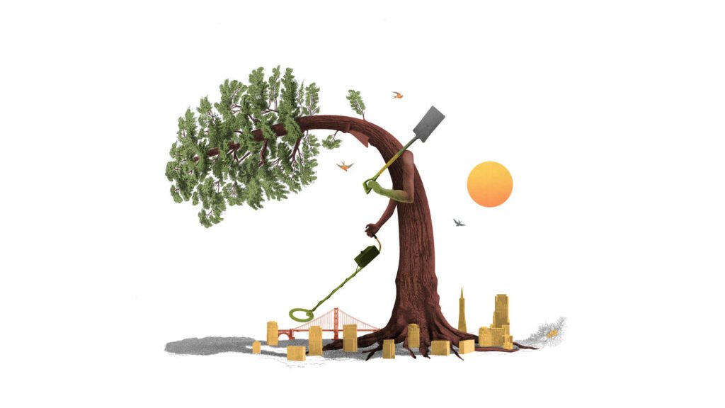 A sequoiq tree with a metal detector scanning around the Silicon valley and California.