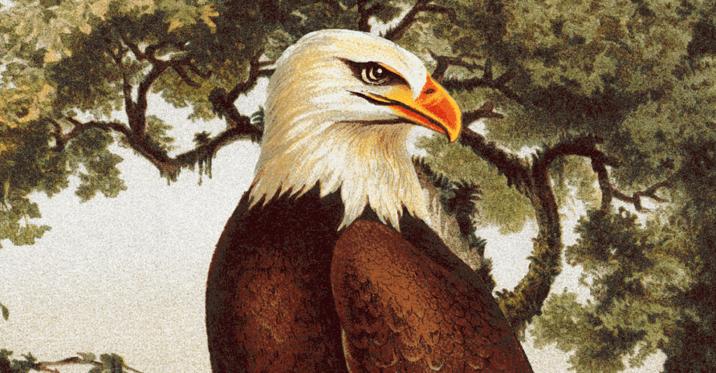 How to Save Endangered Species Without a Detailed Plan for Every Bee