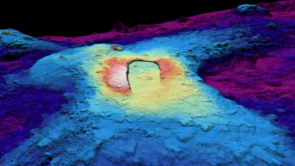 Marine life's latest hotspot could be an underwater volcano primed to erupt off Oregon : NPR
