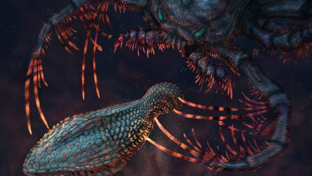 Nervy human teeth arose from ancient armored fish scales : NPR