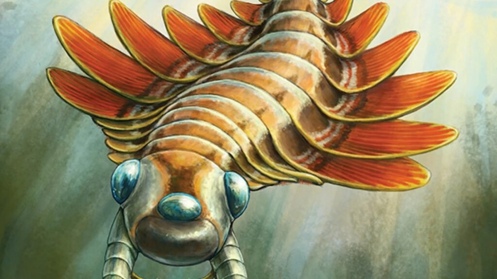 Paleontologists discover a 500-million-year-old, 3-eyed predator : NPR