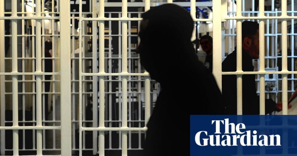 Police were ‘consulted’ over early prison release scheme, says Ministry of Justice | Prisons and probation