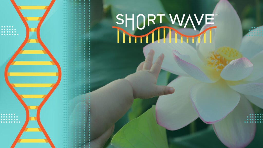 Should I have kids in this climate? : Short Wave : NPR