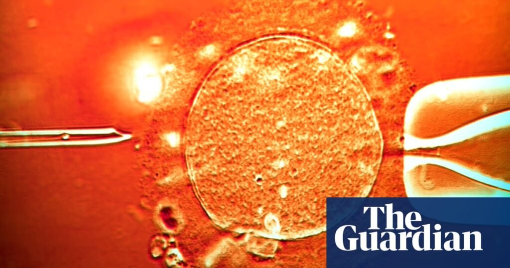 Sperm from cancer-risk donor used to conceive at least 67 children across Europe | Sperm donation