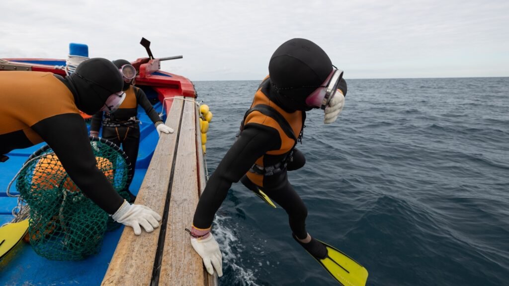 The all-female free divers of Jeju Island have a 'superpower' in their genes : Shots