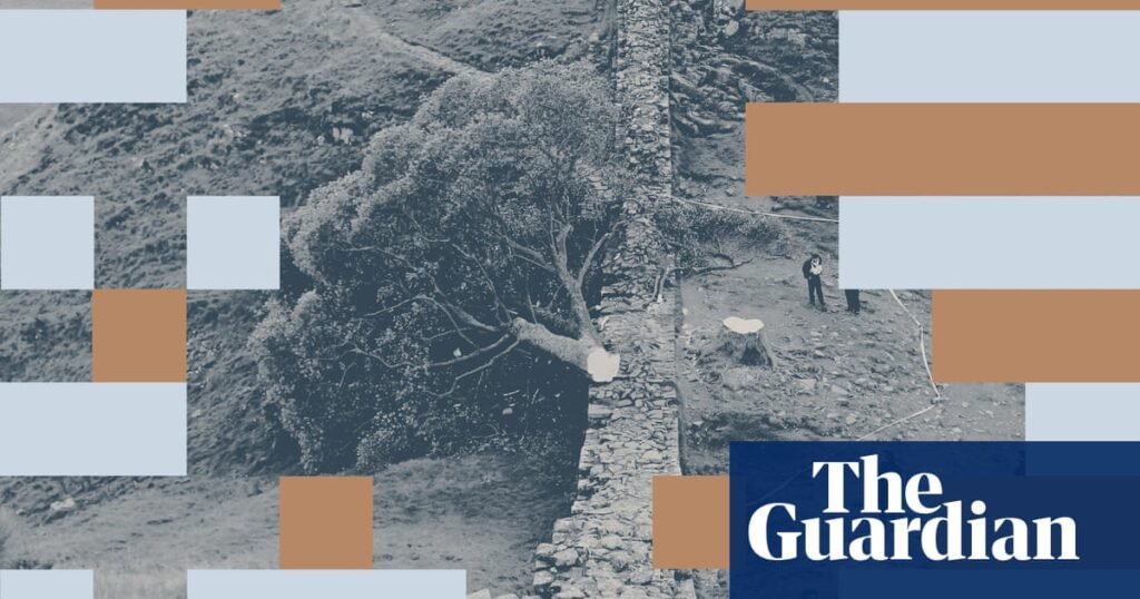 There’s no excuse for chopping down a thing of beauty. And I don’t just mean the Sycamore Gap tree | Mental health