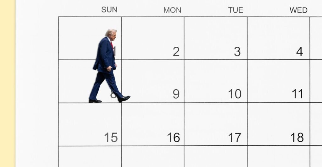 12 Days in Trump’s America