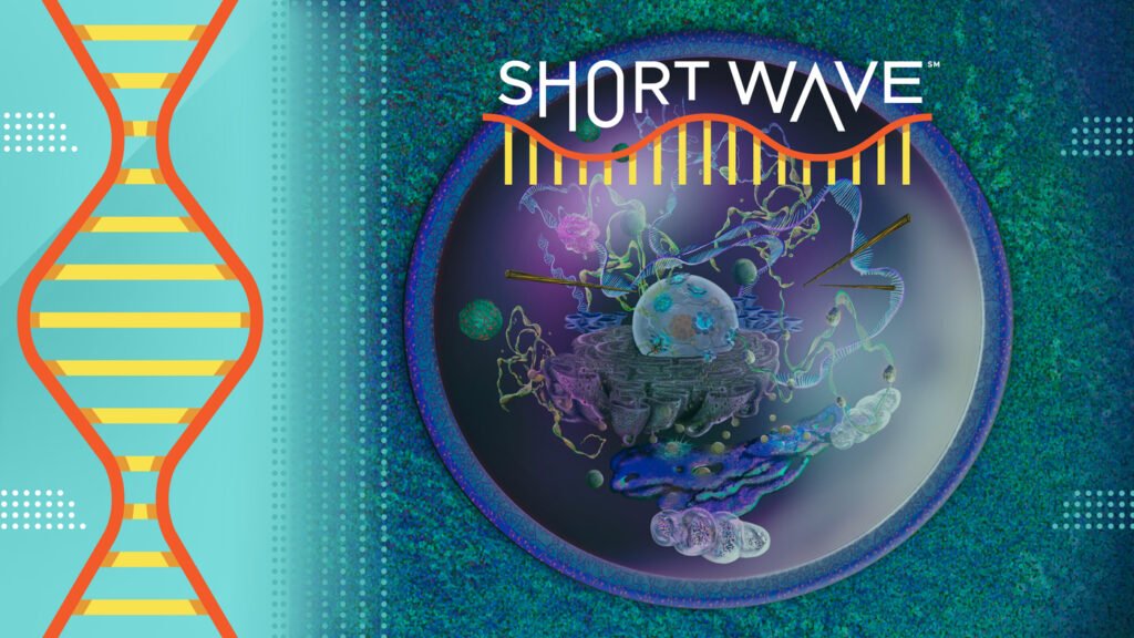 AI demystifies proteins, the building blocks of life : Short Wave : NPR