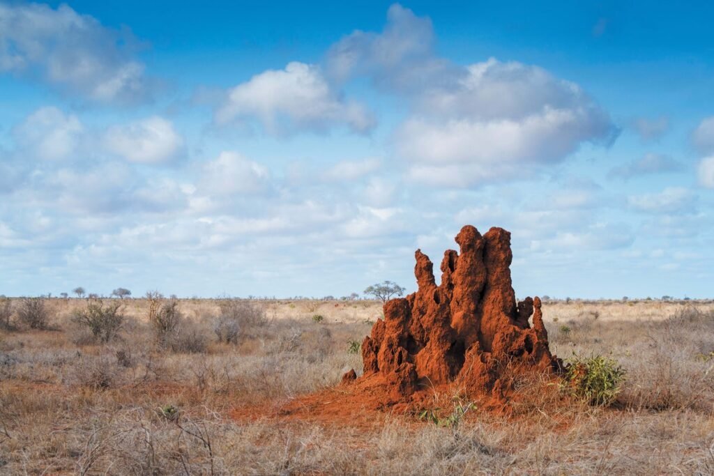 Animals Expend 76,000 Gigajoules of Energy Sculpting Our Planet Every Year