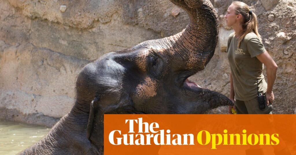 Are you a woman dreaming of a career change? Here’s my advice | Emma Beddington