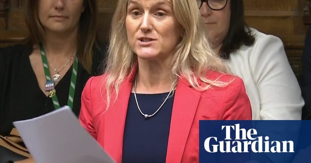 Assisted dying bill: how will it work and when will it come into effect? | Assisted dying