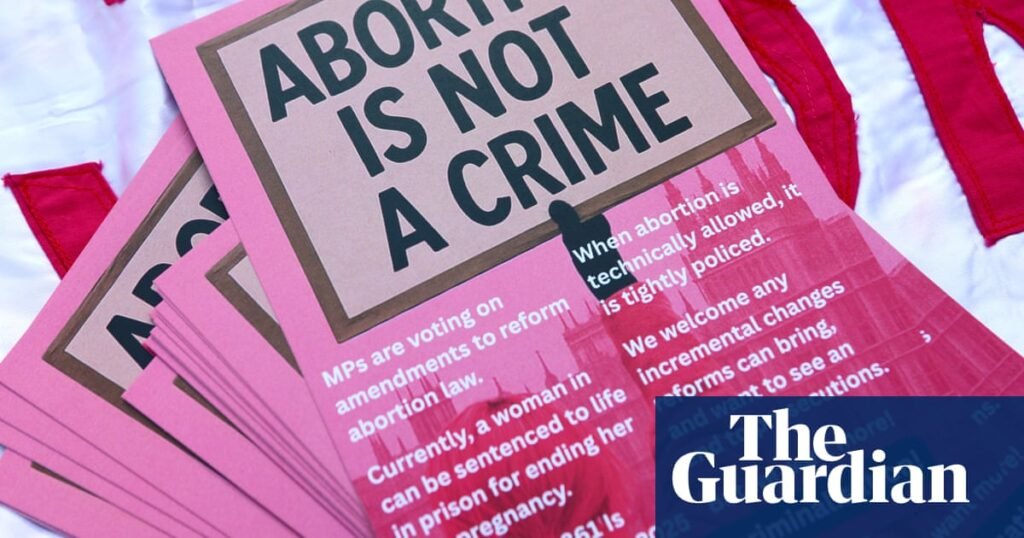 Calls for abortion law change grew louder as number of prosecutions rose | Abortion