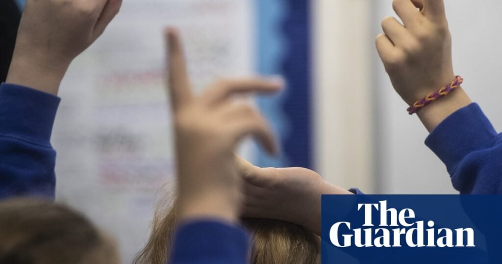 Councils face millions in extra Send costs as overhaul delayed | Special educational needs