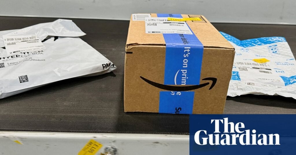 Disabled Amazon workers in corporate jobs allege ‘systemic discrimination’ | US news Disabled Amazon workers in corporate jobs allege ‘systemic discrimination’ | US news