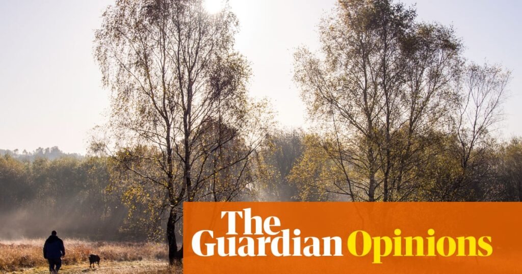 England’s planning bill has many naysayers. I’m not one of them | Nick Williams England’s planning bill has many naysayers. I’m not one of them | Nick Williams