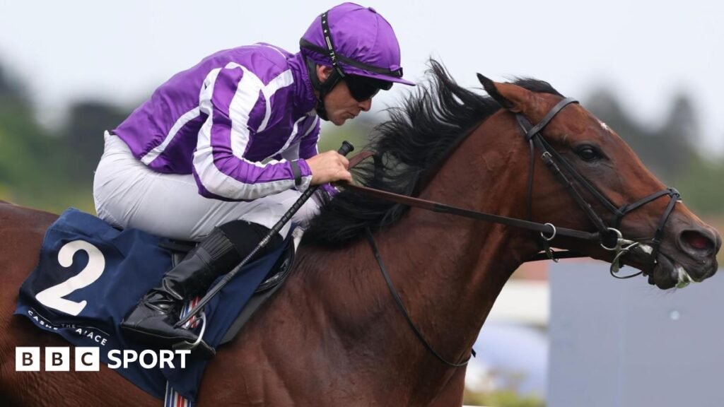 Delacroix winning at Leopardstown