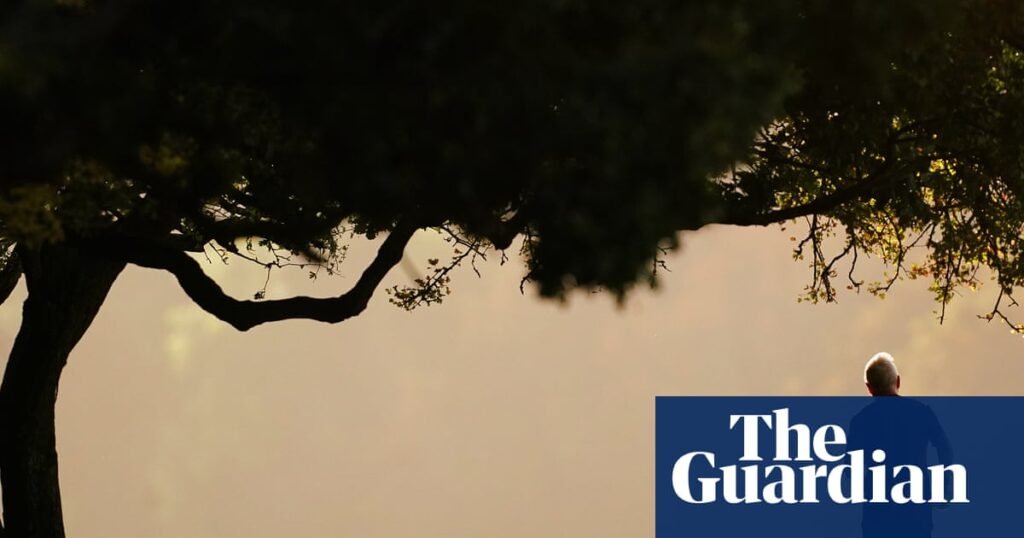 Exercise ‘better than drugs’ after cancer treatment, international trial finds | Cancer