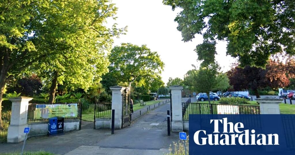 Five children taken to hospital after tree falls in Essex park | UK news