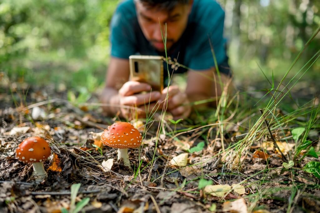 Google AI Grant to iNaturalist Prompts Community Outcry