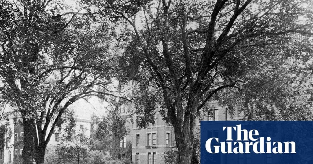 Harvard hired a researcher to uncover its ties to slavery. He says the results cost him his job: ‘We found too many slaves’ | Harvard University Harvard hired a researcher to uncover its ties to slavery. He says the results cost him his job: ‘We found too many slaves’ | Harvard University