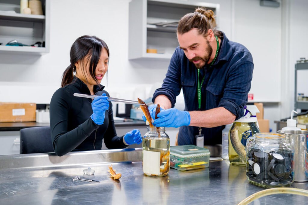 High school sleuths search fish guts for clues to plastic pollution
