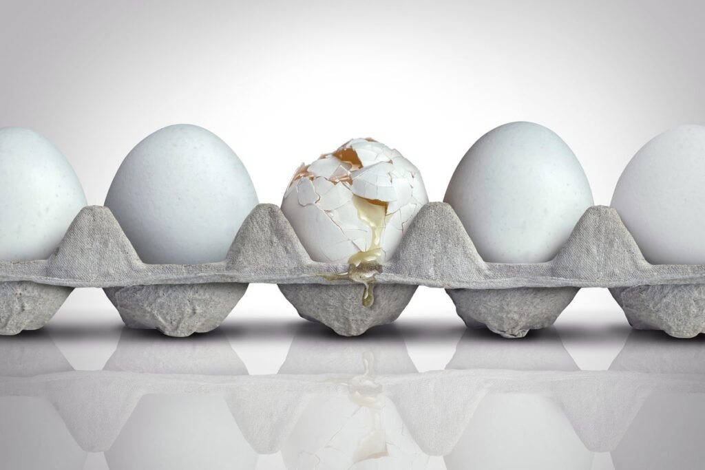 How to Protect Yourself from Recent Salmonella Outbreak in Recalled Eggs How to Protect Yourself from Recent Salmonella Outbreak in Recalled Eggs