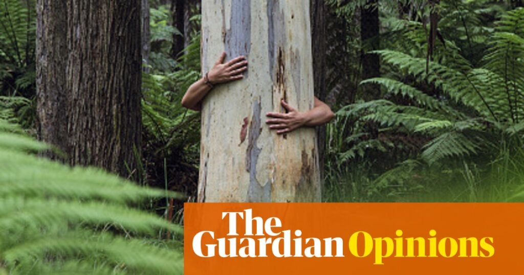 I suspect there’s something poisonous about money. That’s why I’m embracing a gift economy | Kelley Swain