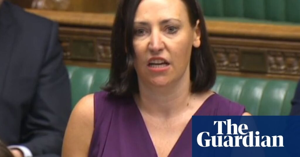 Labour MP resigns as government whip in protest at benefit cuts | Welfare Labour MP resigns as government whip in protest at benefit cuts | Welfare