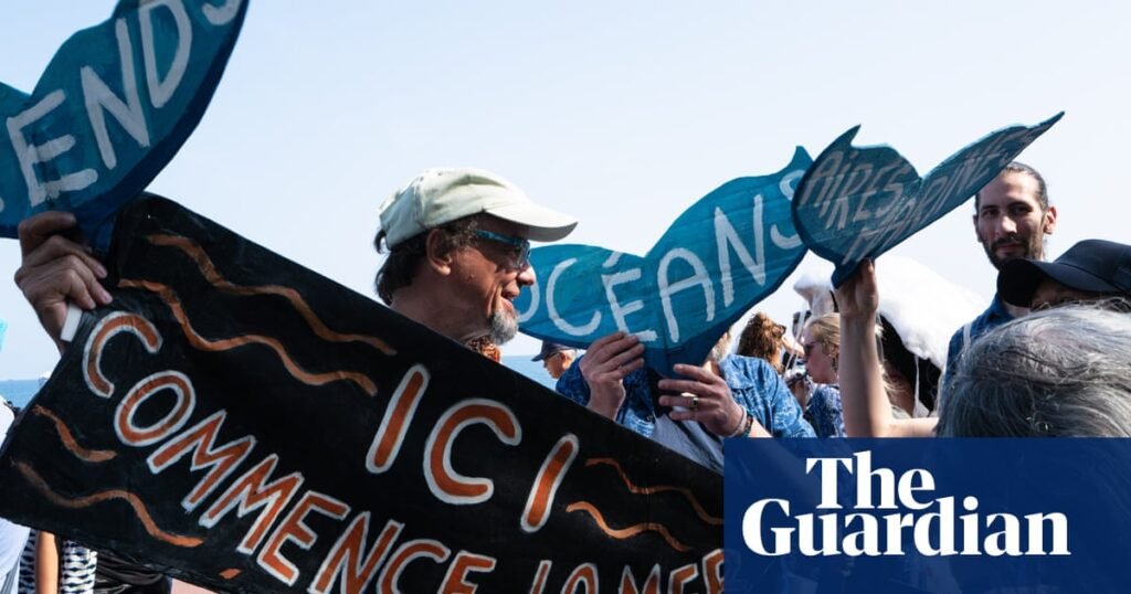 Ministers pledge UK action to ratify high seas treaty by end of year | Environment