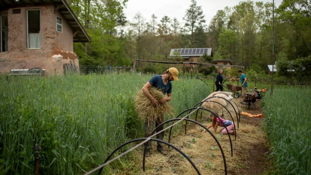 North Carolina community uses teamwork as climate change solution : NPR North Carolina community uses teamwork as climate change solution : NPR