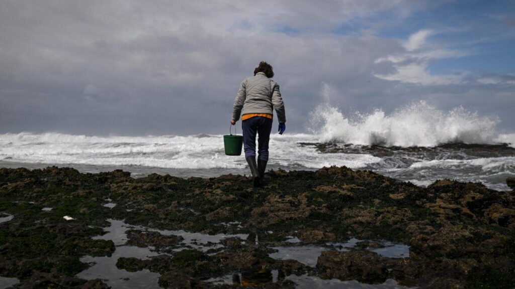 woman walking on seashore
