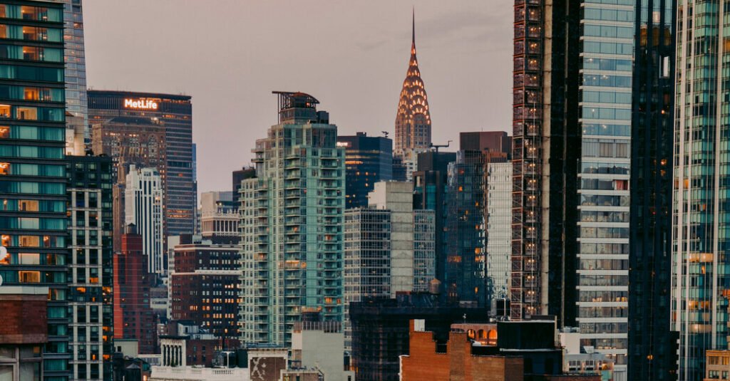 Opinion | A Guide to N.Y.C.’s Mayoral Election and Democratic Primary