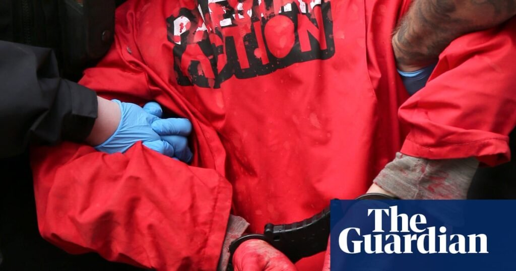 Palestine Action expected to be banned after vandalism of planes at RAF base | UK security and counter-terrorism Palestine Action expected to be banned after vandalism of planes at RAF base | UK security and counter-terrorism