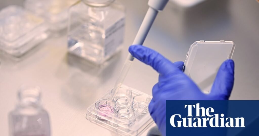 People having IVF should get time off work for appointments, say UK campaigners | IVF
