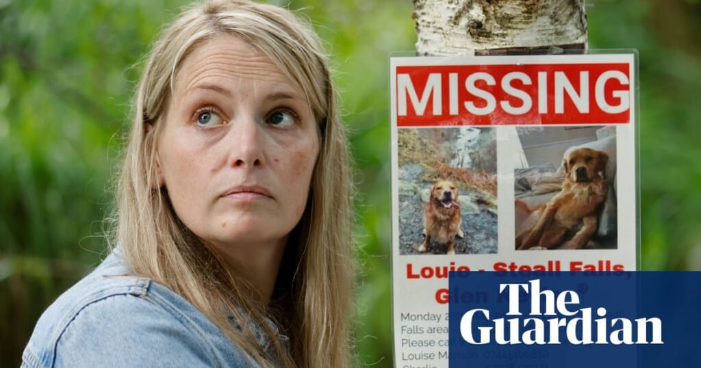 Posters, scented items and drones: Highland hunt for teenager’s missing therapy dog | Dogs