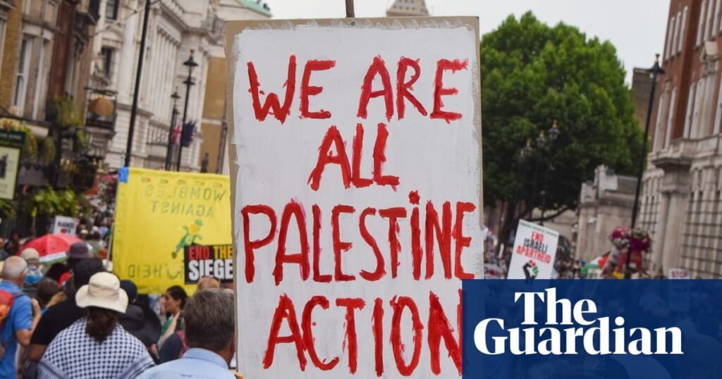 RAF base vandalism not enough to justify Palestine Action ban, says ex-minister | UK security and counter-terrorism