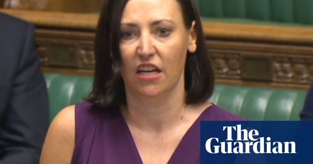 Starmer’s disability benefit concessions are not enough, says rebel Labour whip | Welfare