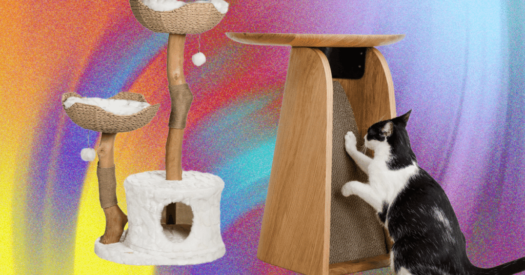 The Best Cat Toys for Your Furry Friend (2025)