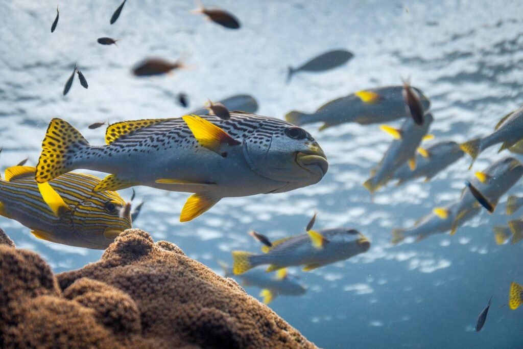 The Climate Solution Hiding In Plain Sight The Climate Solution Hiding In Plain Sight