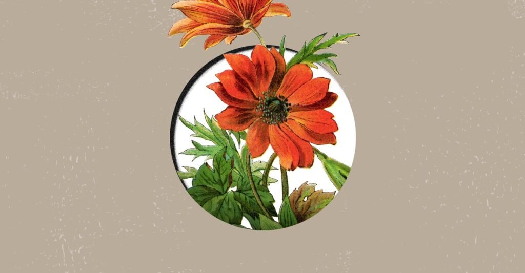 The benefits of refusing - The Atlantic