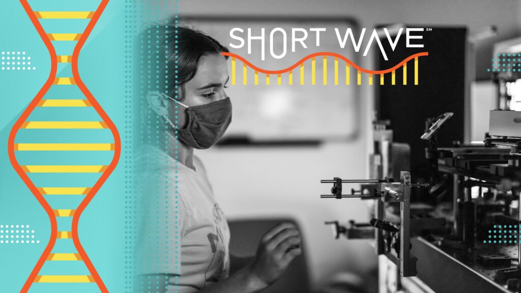 The power of olo, a color created by science : Short Wave : NPR