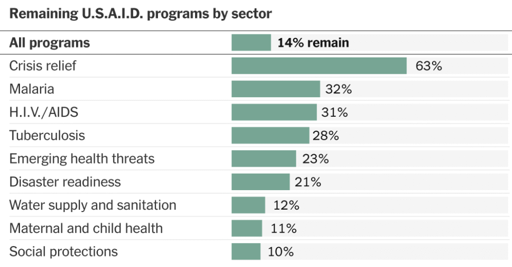 What Remains of U.S.A.I.D. After DOGE’s Budget Cuts?