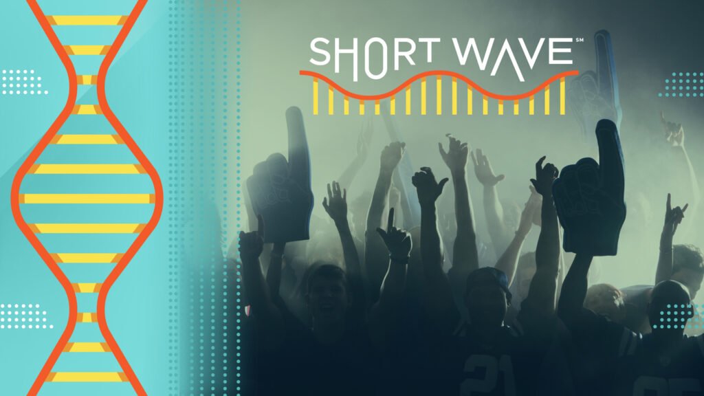 Why Emotions Run High For Sports Fans : Short Wave : NPR