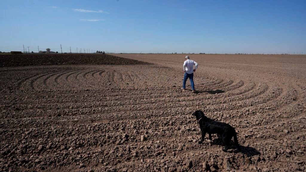 climate website employees laid off : NPR