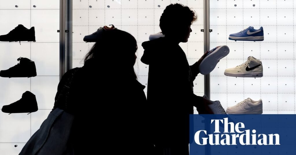 ‘How did I get approved for $30,000?’: is buy now, pay later headed for a fall? | US news