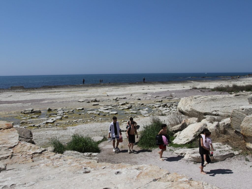 ‘The Caspian Sea is shrinking. It is visible with the naked eye’ | Climate Crisis News