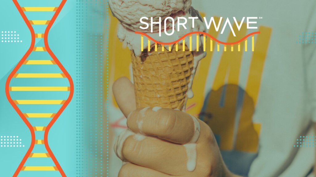 As summers get hotter, here's how to stay cool : Short Wave : NPR