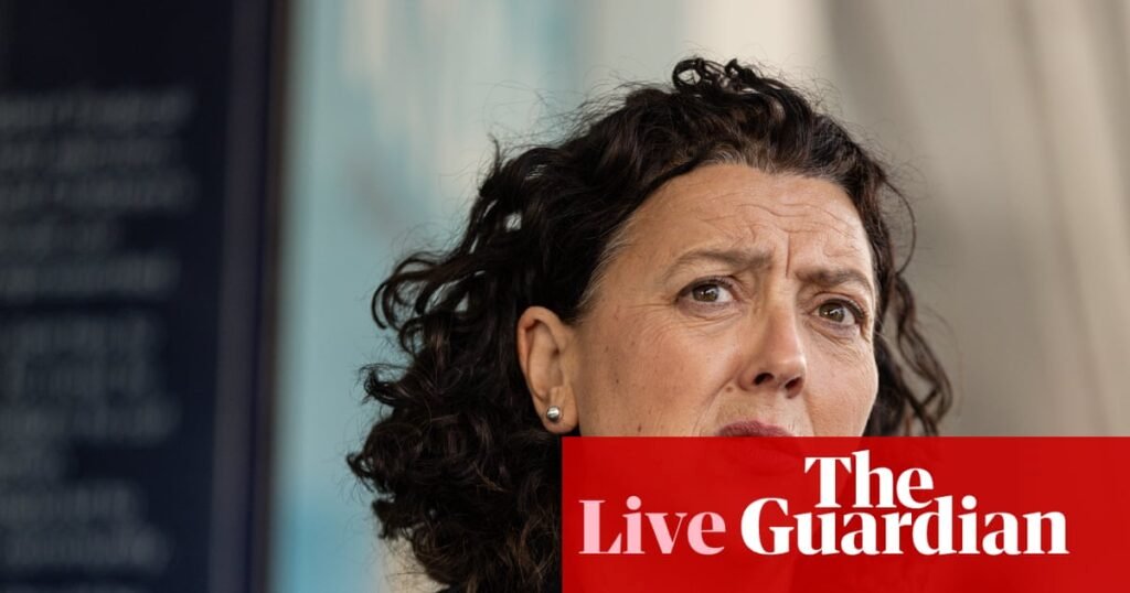 Australia news live: Body found in Snowy Mountains plane wreckage; Monique Ryan to bring private member’s bill to lower voting age | Australia news