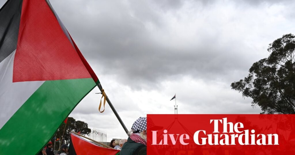 Australia politics live: Faruqi labels Albanese and Wong ‘gutless’ in pro-Palestine rally speech outside Parliament House | Australia news